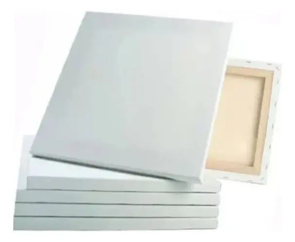 Pack De 12 Bastidores Entelado 40x50cm